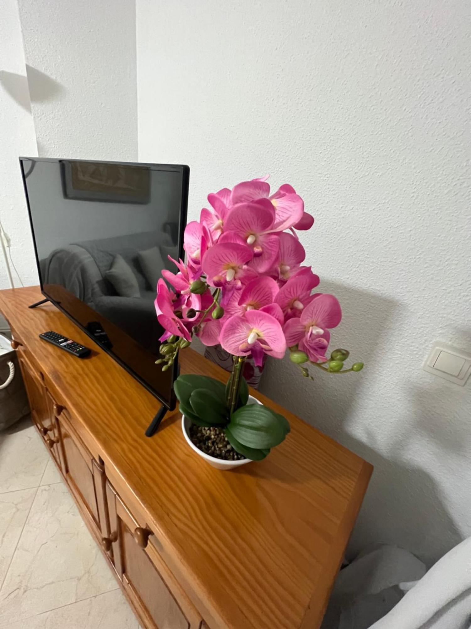 Appartement Estudio Mar En Calma, Primera Linea De Playa Con Vistas Al Mar